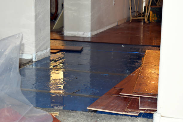 Professional Flood Damage Repair technician working in Auburn, IN